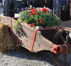 wenn sogar der Schubkarren weiß, wo sich die Blumen wohlfühlen wenn sogar der Schubkarren weiß, wo sich die Blumen wohlfühlen